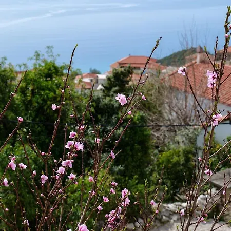 Guest house Duka's House Lukove